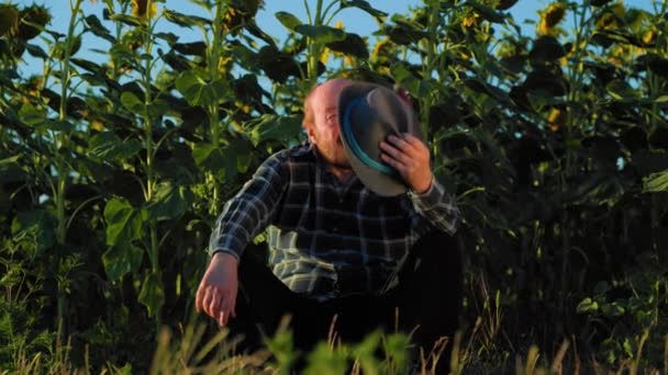 Tired Senior Farmer Farmer Sitting Next Field Sunflowers Field Sunflowers — Vídeo de Stock