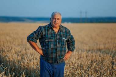 Esansı yakalamak yaşlı bir çiftçi, mutluluk saçan, gelişmekte olan bir buğday tarlasında poz verir. Buğday Diyarı Dinginliği Mutlu bir kıdemli çiftçi Altın ekinlerin arasında bir anlık huzurun tadını çıkarıyor.