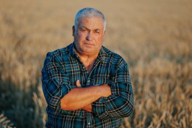 Sunny Fields, Sunny Smiles Mutlu bir kıdemli çiftçi gelişmekte olan buğday mahsulünün sıcaklığının tadını çıkarıyor. Tarım Saadeti Yaşlı bir çiftçinin yüzü gelişen buğday mevsiminin başarısını yansıtır.