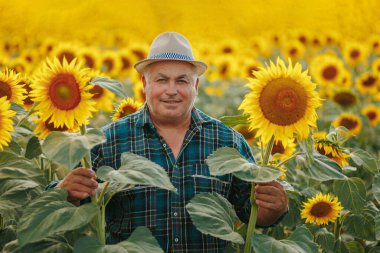 Hasat edilen anılar. Bu dokunaklı görüntü, ayçiçeği tarlasında kameraya bakan yaşlı bir çiftçiyi gösteriyor. Çiçekler, yıllar boyunca toplanan bol hatıraları ve deneyimleri simgeliyor..
