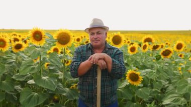 Zaman Hasadı. Kameraya bakan yaşlı bir çiftçinin güzel bir tasviri. Etrafı ayçiçekleriyle çevrili..