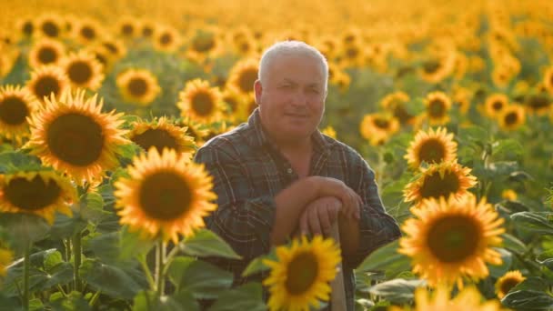 Χαρούμενη Συνάντηση Φύση Στην Καρδιά Ενός Ηλιοβασιλέματος Ένας Ηλικιωμένος Αγρότης — Αρχείο Βίντεο