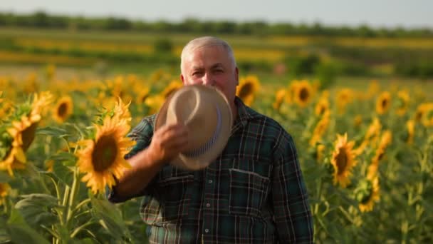 Sunflower Symphony Εικόνα Απεικονίζει Έναν Ηλικιωμένο Αγρότη Κοιτάζει Την Κάμερα — Αρχείο Βίντεο