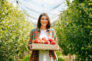 Ön manzara kameraya bakıyor. Genç bir çiftçi kızın elindeki tahta bir kutuda bir sürü olgun kırmızı elma var. Elma bahçesinde hasat olgunlaştı, işçi meyve topladı. Gülümse..