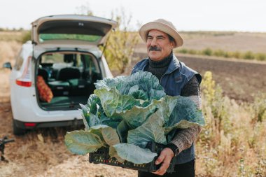 Lahana Günlükleri Tanıklık Etti. Yaşlı bir çiftçinin deneyimli dokunuşu, bıyığı tarım uzmanlığının simgesi. Bu keşifte, sürdürülebilir uygulamaları derinlemesine araştırın