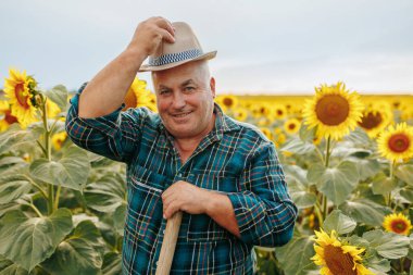 Mutluluğun altın ışıltıları Yaşlı bir işçi ışıl ışıl bir gülümseme takar, hasatın olduğu mevsimde, ayçiçeklerinin canlı renkleriyle çevrelenmiş bir şekilde bulunmasının bir göstergesidir..