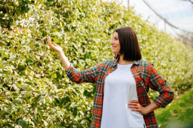 Bir elin havada, kareli gömlek giyen çiftçi kadının bakışlarını taklit et. Genç kadın işçi bir eli kalçasında bahçede meyve ağaçlarının yanında yer alıyor. Güneşli bir gün İyi bir hava.