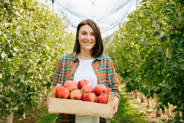 stock image Beautiful young smile girl with short haircut is a farmer in an apple orchard admiring the harvest of apples. The female agronomist rejoices at such a rich harvest. Thriving apple business, farming.