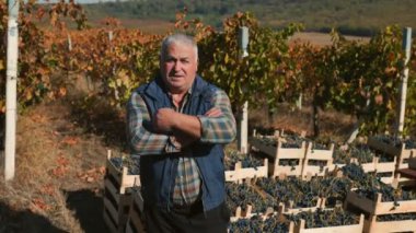 Üzüm bağının kalbinde, kıdemli bir şarap üreticisi olan tarım uzmanı, sonbaharın renklerinin ortasında şaraplar üreterek doğayla derin bir bağ kuruyor..