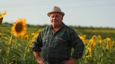 Hasat Saadeti Yakalandı Yaşlı bir işçi yürekten memnuniyetini ifade eder, Gülüşü altın mahsullerle çevrili tarlalarda başarılı bir günün derin zevkini gözler önüne serer.