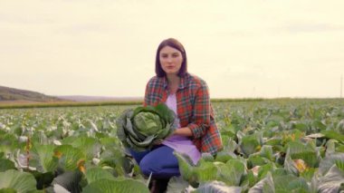 Sebze tarlasında çömelirken kameranın önüne bakan güzel bir çiftçi kadın. Bitmeyen bir tarla, lahana, hasat, bir işçi yetiştirilen meyvelerin kalitesini analiz eder..