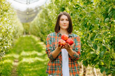 İçinde sıra sıra ağaçlar olan büyük bir elma bahçesi elinde üç elma tutan genç bir çiftçi kız duruyor. Meyve bahçesinde kısa saç kesimi olan güzel bir kadın..