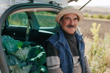 Hasat zamanı altında, kıdemli çiftçi arabadaki patates çuvallarının yanında gevşer ve canlı hasat mevsiminin ortasında huzurlu bir anı resmeder..