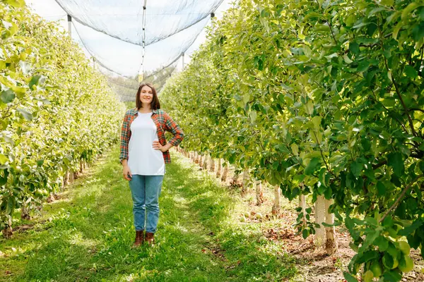 stock image Front view looking at camera pretty young woman farmer in her apple orchard full length hand on belt. An agronomist with a happy look shows how wonderful things are going in business. Copy space.