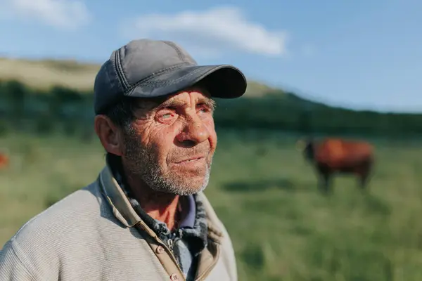 stock image This natural portrait portrays the quiet strength of an old farmer shepherd, his weathered countenance a testament to the resilience and perseverance that define life in the countryside.