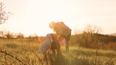 Sunset Bliss Kadınları Evcil Köpeklerle Neşeli Anlar 'da harikalar yaratıyor. Unutulmaz anlar. Kadınlar evcil köpeklerine bayılır.