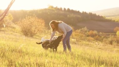 Sunset Joyride Woman ve Labrador Dogs Playful Fun 'a katılıyor. Kadın ve labradoru açık havanın güzelliğini kucaklıyor.