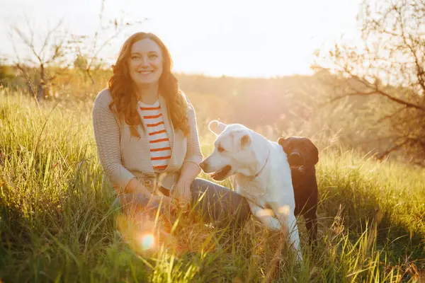 stock image Sunset Pet Paradise Woman and Labrador Dogs in Playful Harmony. Woman's radiant smile as she plays with her dogs in the golden hour