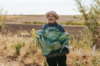 Tecrübeli bir çiftçide deneyimli bir bilgelik. Bıyığı deneyimin sembolü. Güneşli tarlalarda lahana hasadına meyilli. Sürdürülebilir tarım uygulamalarını ve tarım sanatını araştırın