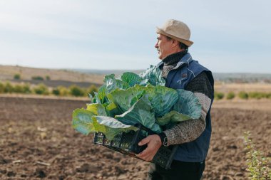 Yaşlı İspanyol çiftçi, yüzü bilgelikle işlenmiş, çiftlikte özenle çalışıyor. İnsanoğlunun dinamik kavşağına dalın ve bu portrede yer alın.