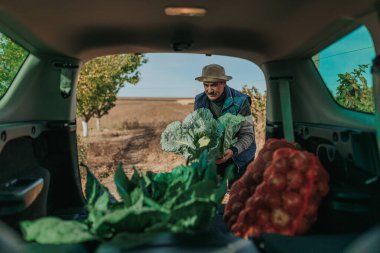 Çiftçinin Hasat Görevi Kıdemli bir çiftçinin yeni hasat edilmiş ürünleri bir araca yüklediğini gösteren belgelendirme, tarımla ilgili el işçiliğini vurguluyor.