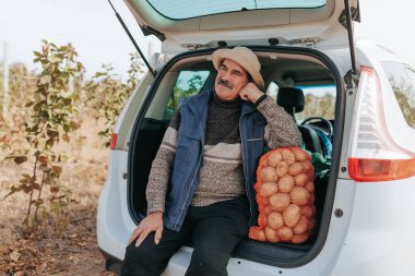 Hasat döneminin ortasında yaşlı çiftçi arabanın bagajındaki patates çuvallarının yanında teselliyi bulur, hareketli hasat döneminin huzurlu tarafını tasvir eder..