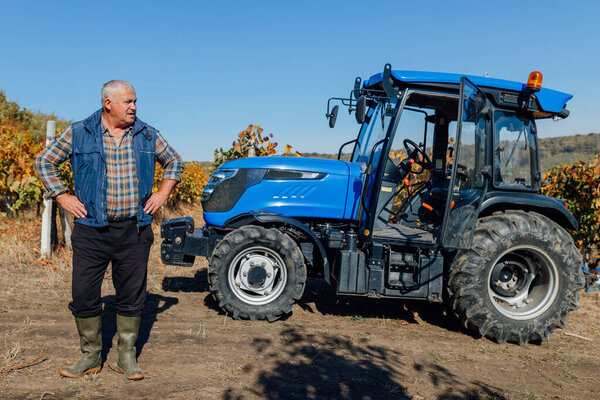 Vineyard Guardian An experienced farmer watches over the sprawling vines from the side of a well maintained tractor.