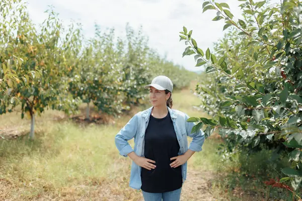 stock image A young white female farmer, wearing a baseball cap, is captured in an orchard. She is deeply involved in inspecting the plants, surrounded by the natural beauty of the farmland.