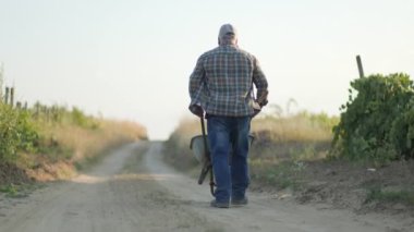 Mısır tarlasında el arabalı bir çiftçi. Tarım kavramı. Mısır tarlasındaki tarımcı.