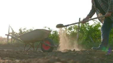 Çiftçi tarlada el arabasına toprak koyuyor. Tarım kavramı. tarımcı çalışıyor 