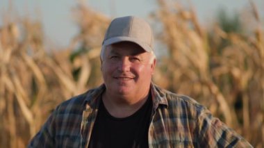 Mısır tarlasında çiftçi. Tarım kavramı. Mısır tarlasındaki tarımcı.