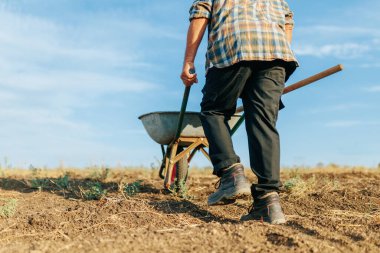 Kırsal bir yol boyunca kürekle el arabası süren yaşlı bir adam, tarımsal alanlarının yakınında, deneyimli bir çiftçinin azmini temsil eden yakın planda yakalandı..