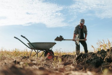 Kırsal bir tarlada kıdemli bir erkek çiftçi. Bir el arabasına toprak dolu bir kürek. Sıkı çalışma ve çiftçiliğe adanmışlık dolu bir gün..