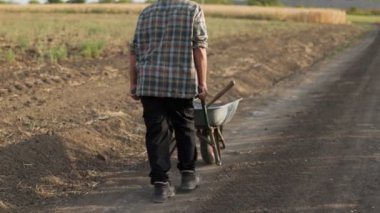 Mısır tarlasında çalışan çiftçi. Tarım kavramı. Ziraatçi 