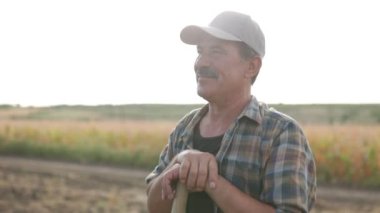 Mısır tarlasında kürekle çiftçi. Tarım kavramı. Mısır tarlasındaki tarımcı.