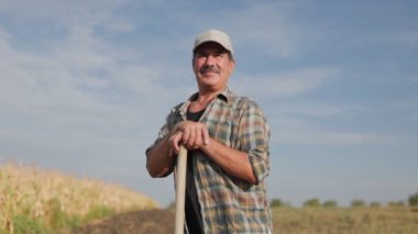 Mısır tarlasında kürekle çiftçi. Tarım kavramı. Mısır tarlasındaki tarımcı.