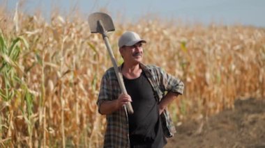 Mısır tarlasında kürekle çiftçi. Tarım kavramı. Mısır tarlasındaki tarımcı.