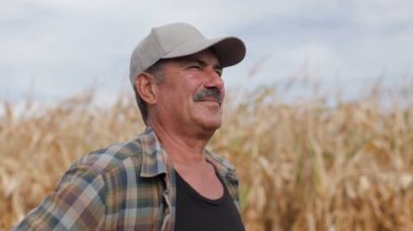 Mısır tarlasında çiftçi. Tarım kavramı. Mısır tarlasındaki tarımcı.