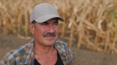 Mısır tarlasında çiftçi. Tarım kavramı. Mısır tarlasındaki tarımcı.