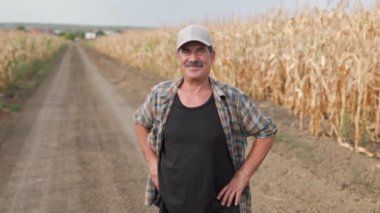 Mısır tarlasında çiftçi. Tarım kavramı. Mısır tarlasındaki tarımcı.