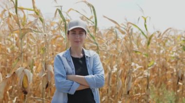 Güneşli bir mısır tarlasının yanında bir kadın çiftçi. Altın mısır sapları ve mavi gökyüzü kırsal yaşamın huzurlu ve huzurlu bir görüntüsünü yaratır..