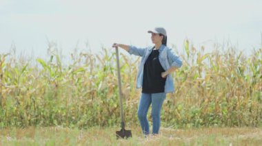 Neşeli bir kadın çiftçi güneşli bir mısır tarlasının ortasında duruyor.