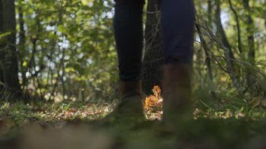 Yapraklı bir ormanda yürüyen biri, botlarını yere sürterek. Bulanık arkaplan, doğayla olan bağlantıyı ve dinginlik içindeki yolculuğu vurgular..