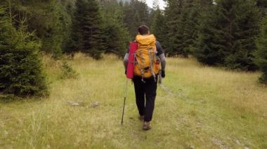 Ormanda tek başına dolaşan İspanyol bir gezginin dinginliğini hisset. Sırt çantalı ve huzurlu, bu resim aktif bir yaşam tarzını ve keşif özgürlüğünü yansıtıyor. Arka plan entrika ekler.