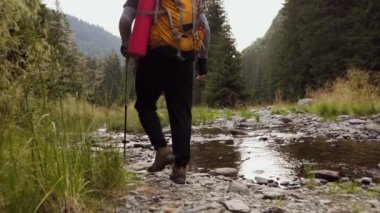 Doğanın harikalar yarattığı ormanda büyüleyici bir yolculuğa çıkan beyaz bir yürüyüşçüye katılın. Bu yalnız seferin arka plan macerasına dalın..