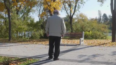 Gözlüklü kıdemli adam, parktaki bir bankta oturmuş, canlı sonbahar yaprakları ve dingin doğayla çevrili bir şekilde yalnızlıktan zevk alıyor..