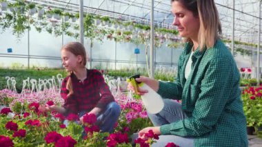 Bayan çiçekçi ve küçük kız kızı, eğleniyor. Mutluyum, annem kızına su püskürtüyor. Mutlu insanlar kavramı, çocuklu bir anne.