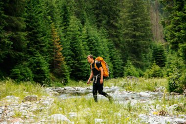 Sırt çantalı genç bir turistin nehir kenarındaki ormanın arka görüntüsü. Genç adam, turist teçhizatı ile donatılmış yürüyüş, yaşam tarzı. etkin yaşam modu, etkin dinlenme