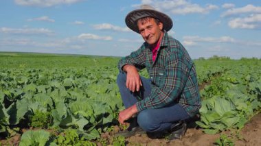 60 yaşındaki Hintli çiftçi, hasadından memnun, güzel, aydınlık bir bahar gününde sebze tarlasında şapka takıyor. Lahana tarlasında kameraya bakan son sınıf gülümseyen adam.