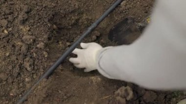 Bir çiftçinin elleri dikkatlice bahçe toprağına çukur kazıyor ve filizlenmeye hazırlanıyor..